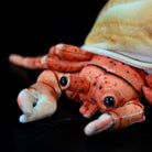 Close-up of hermit crab plush‘s realistic eyes and detailed claws, perfect for ocean enthusiasts