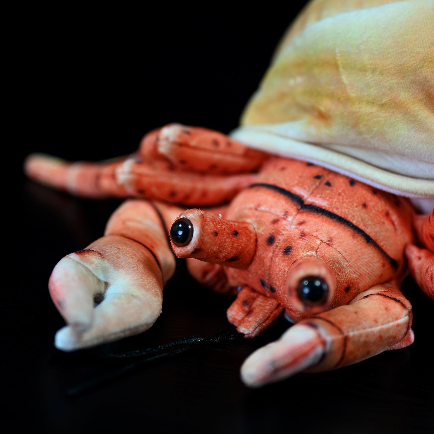 Close-up of hermit crab plush‘s realistic eyes and detailed claws, perfect for ocean enthusiasts