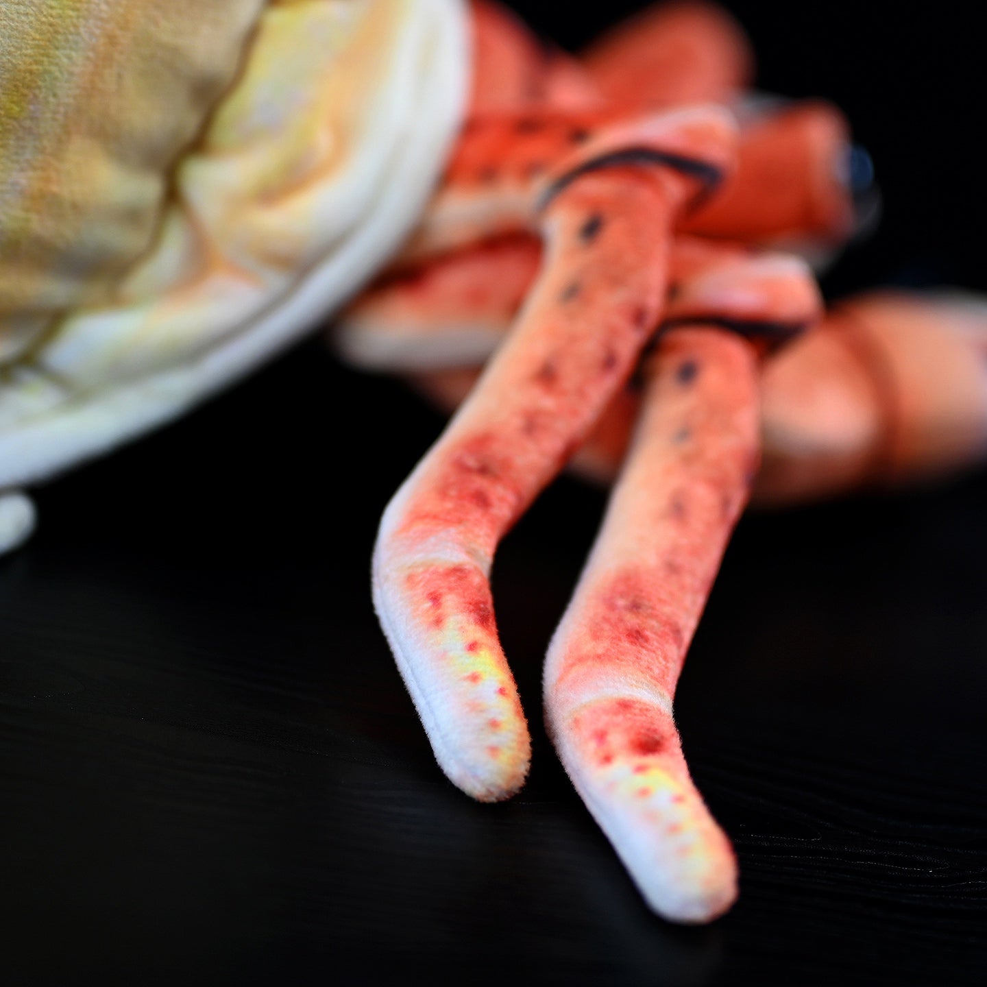 Zoomed-in view of hermit crab plush legs, showcasing soft fabric and realistic coloring