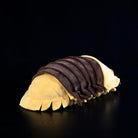 Back view of the Rubber Ducky Isopod Plush Toy, displaying its realistic segmented exoskeleton pattern