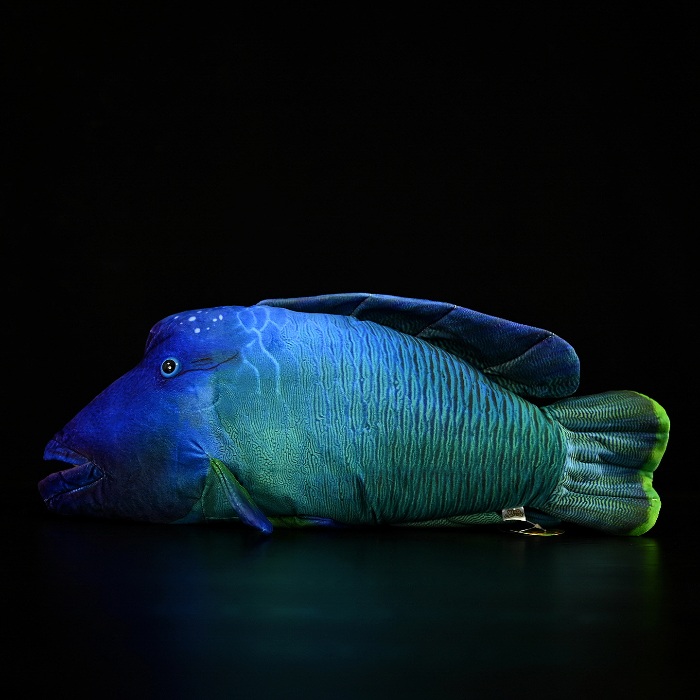 Side view of Humphead Wrasse plush, showcasing lifelike texture and unique details for marine toy collectors