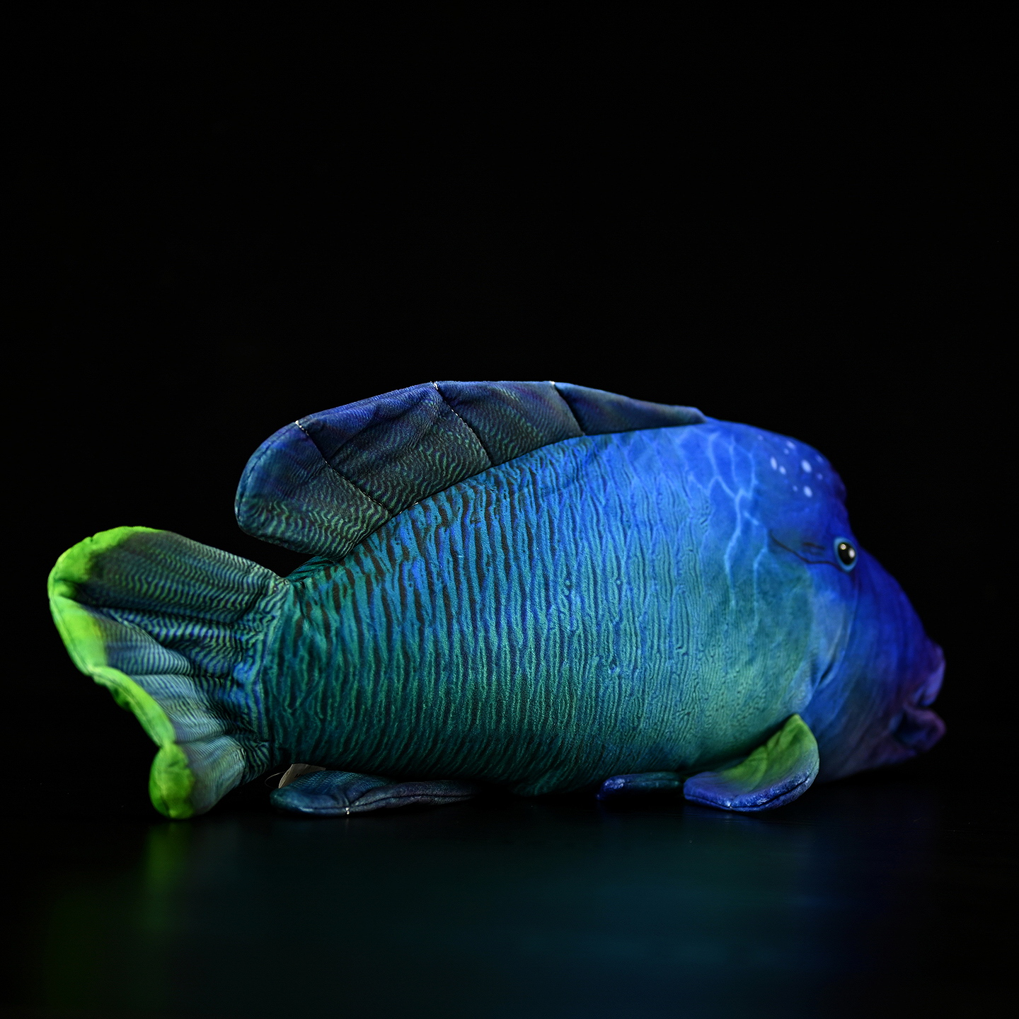 Rear view of Humphead Wrasse plush toy, highlighting realistic fins and textured scales
