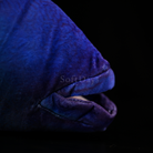 Realistic Humphead Wrasse Fish Plush Toy – Soft and Lifelike