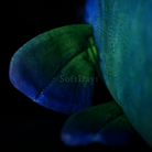Realistic Humphead Wrasse Fish Plush Toy – Soft and Lifelike