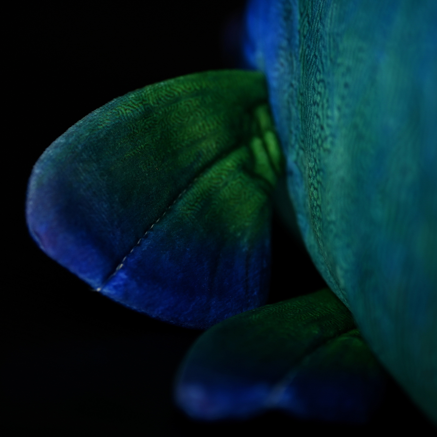 Close-up of the Humphead Wrasse plush toy’s fins, highlighting soft textures and natural green hues