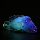 Humphead Wrasse plush in vibrant blue and green tones, realistic marine fish stuffed toy design