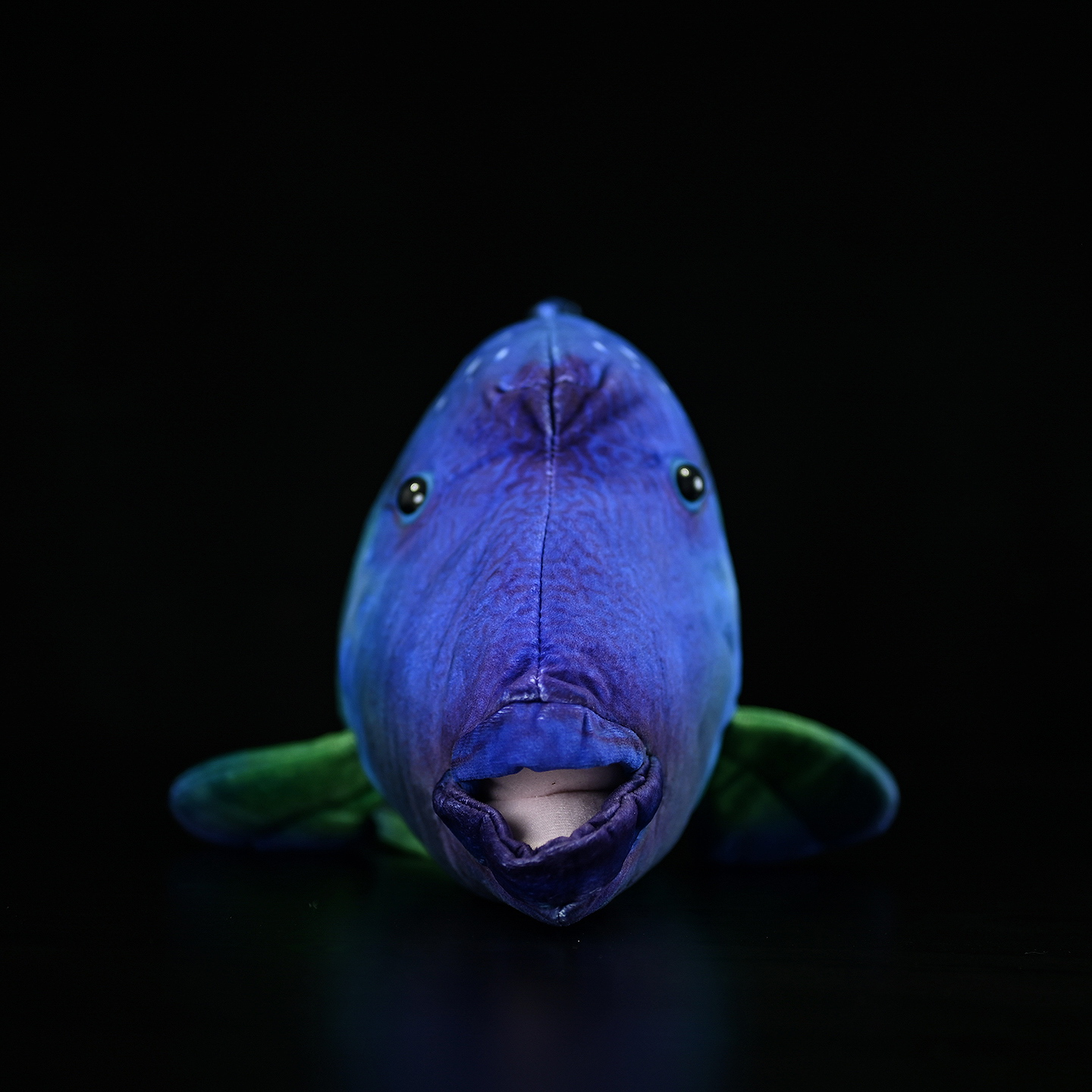 Front view of Humphead Wrasse plush toy with detailed mouth and unique hump, perfect for marine life enthusiasts