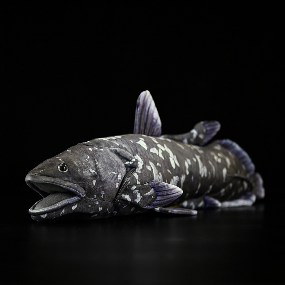 Lifelike Latimeria Fish Plush – Soft and Prehistoric Deep-Sea Treasure