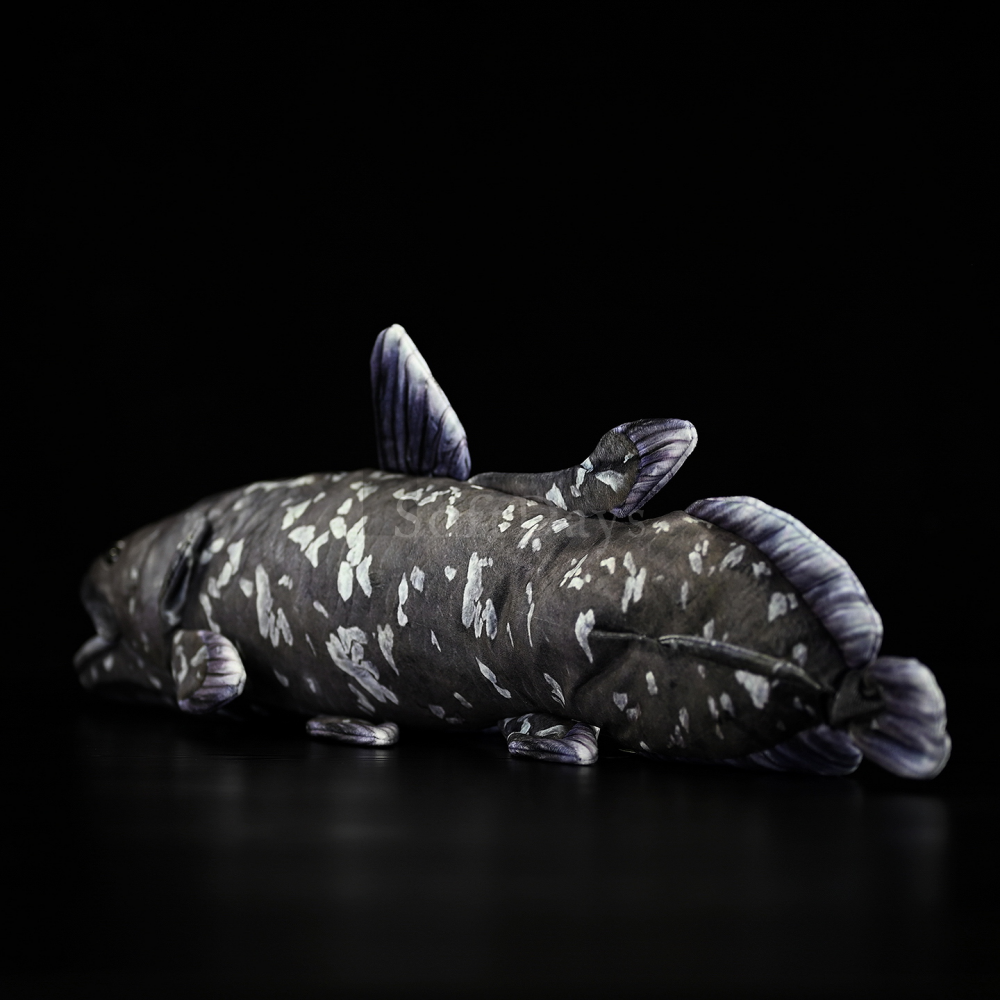 Lifelike Latimeria Fish Plush – Soft and Prehistoric Deep-Sea Treasure