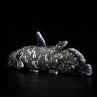Lifelike Latimeria Fish Plush – Soft and Prehistoric Deep-Sea Treasure