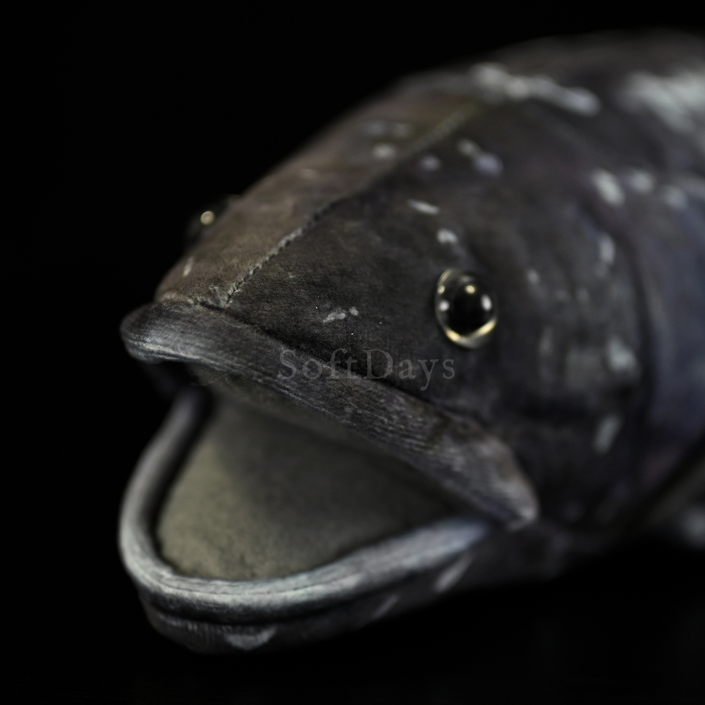 Lifelike Latimeria Fish Plush – Soft and Prehistoric Deep-Sea Treasure