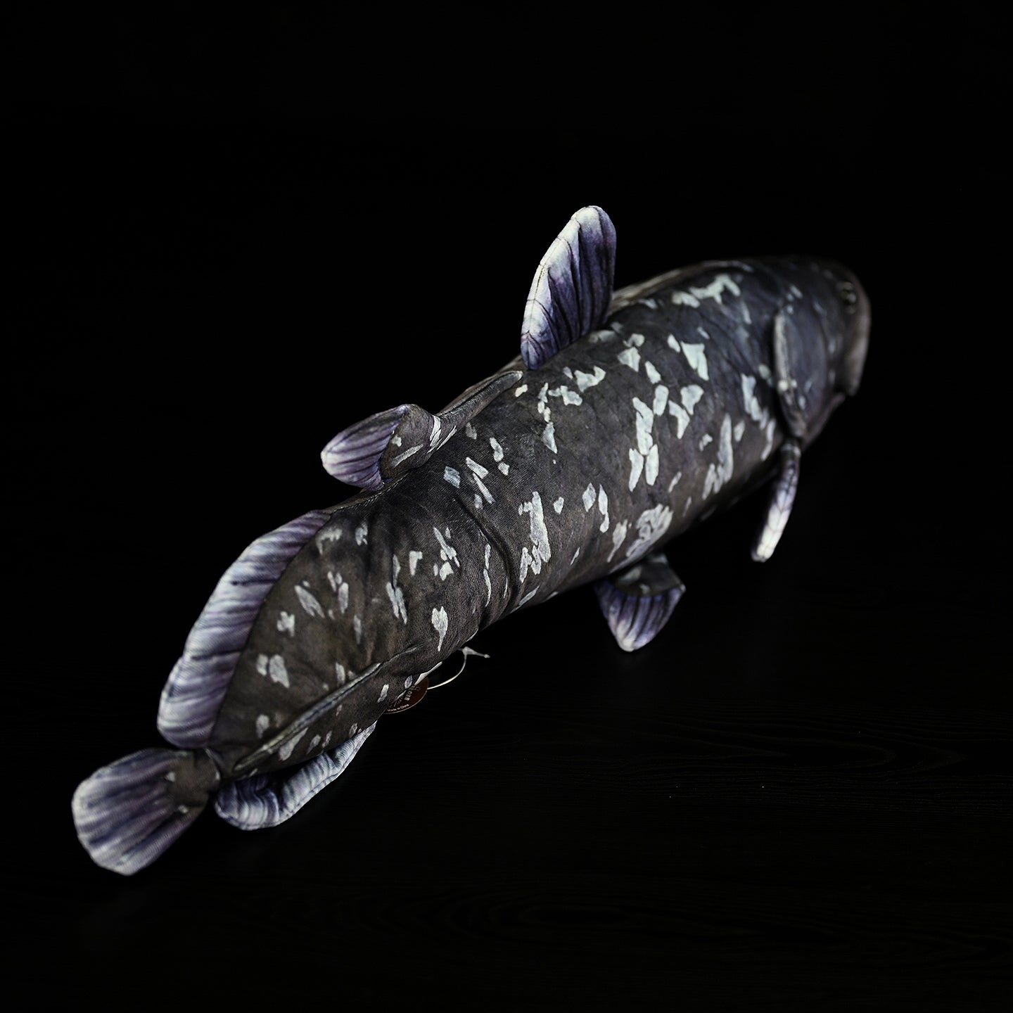 Top-back angle of Latimeria coelacanth plush, showing lifelike dorsal fin and deep-sea creature design
