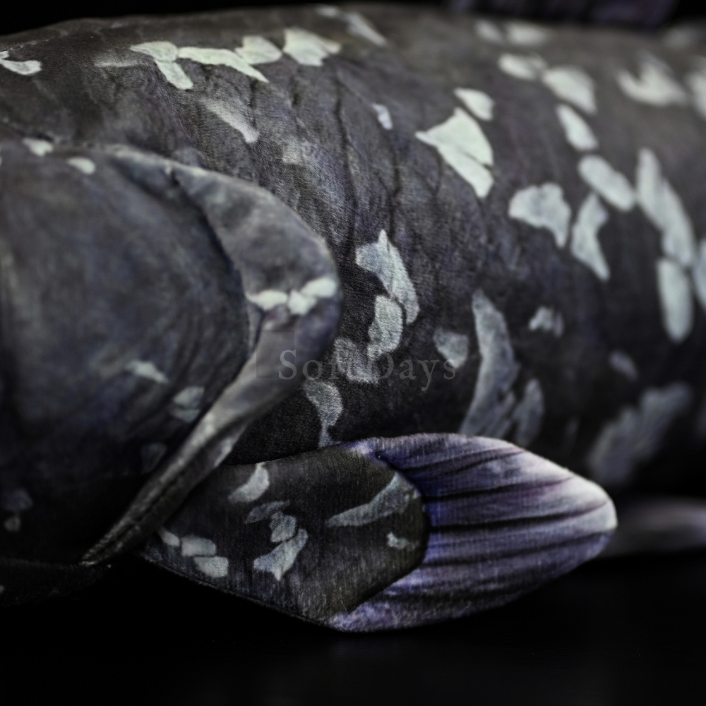 Lifelike Latimeria Fish Plush – Soft and Prehistoric Deep-Sea Treasure