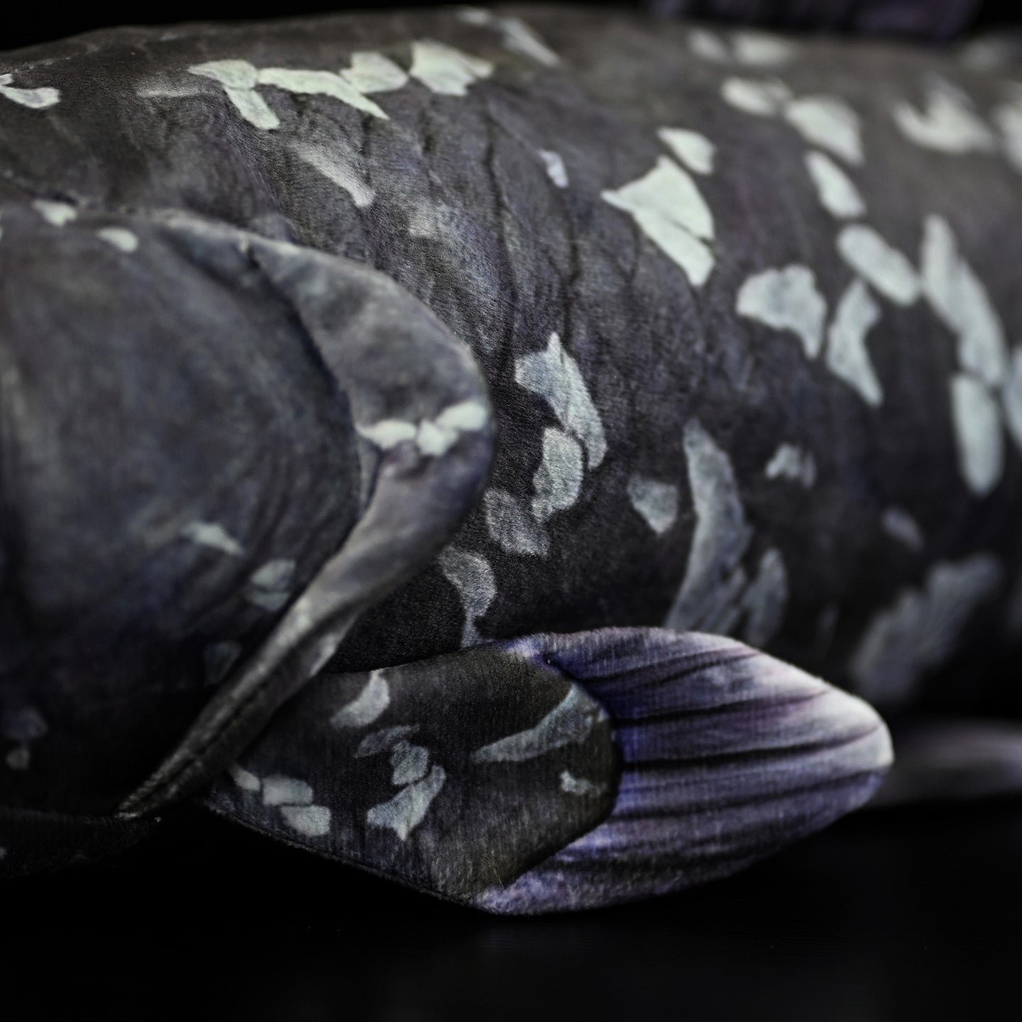 Detailed close-up of Latimeria coelacanth plush body texture, featuring realistic scales and fin design