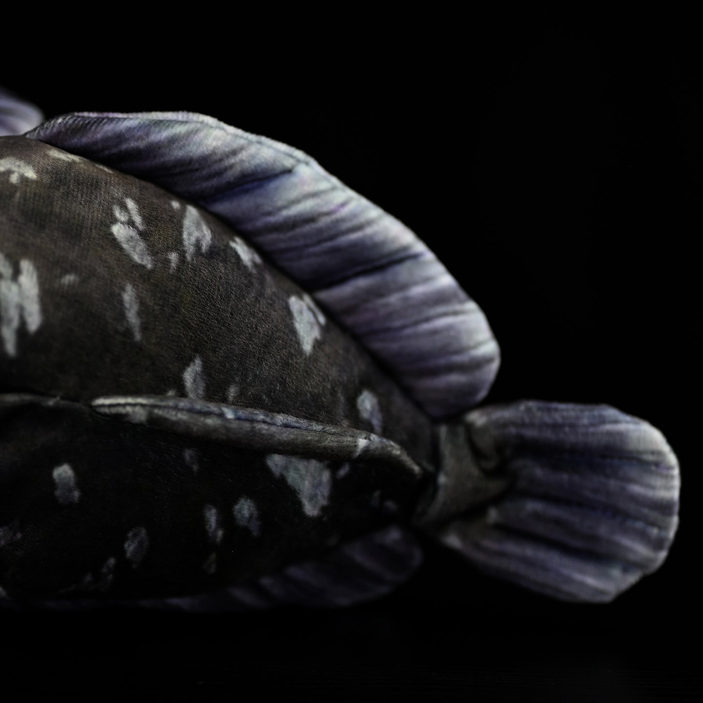 Tail close-up of Latimeria coelacanth plush toy, highlighting lifelike fin details and authentic design