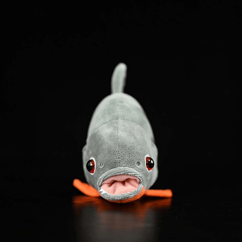 Front view of Red-Bellied Piranha plush toy, realistic stuffed fish design with lifelike red eyes and soft texture
