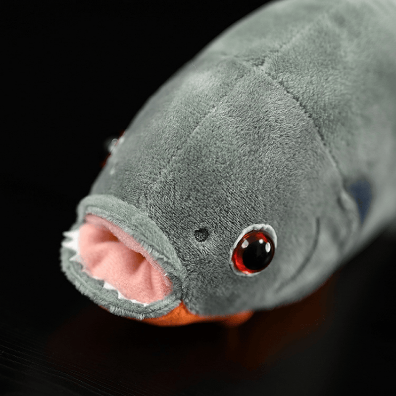 Close-up of Red-Bellied Piranha plush toy’s open mouth, showcasing soft pink fabric and lifelike white teeth
