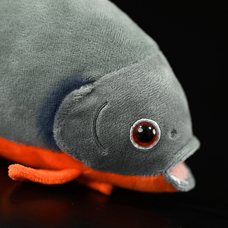 Close-up of Red-Bellied Piranha plush toy’s head, featuring vivid red eyes, soft fabric texture, and realistic design