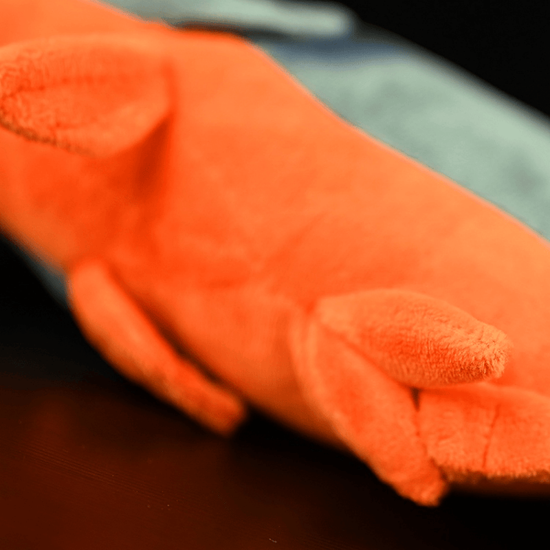 Close-up of Red-Bellied Piranha plush toy’s vibrant red belly and soft fabric, perfect for marine enthusiasts