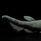 Realistic Deep-Sea Frilled Shark Plush Toy – Soft and Mesmerizing Ocean Gift
