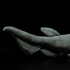 Realistic Deep-Sea Frilled Shark Plush Toy – Soft and Mesmerizing Ocean Gift