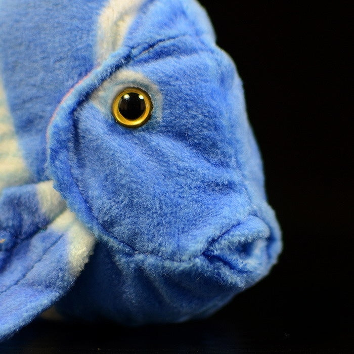 Close-up of a blue tang fish plush toy’s face, showcasing lifelike eye and soft texture