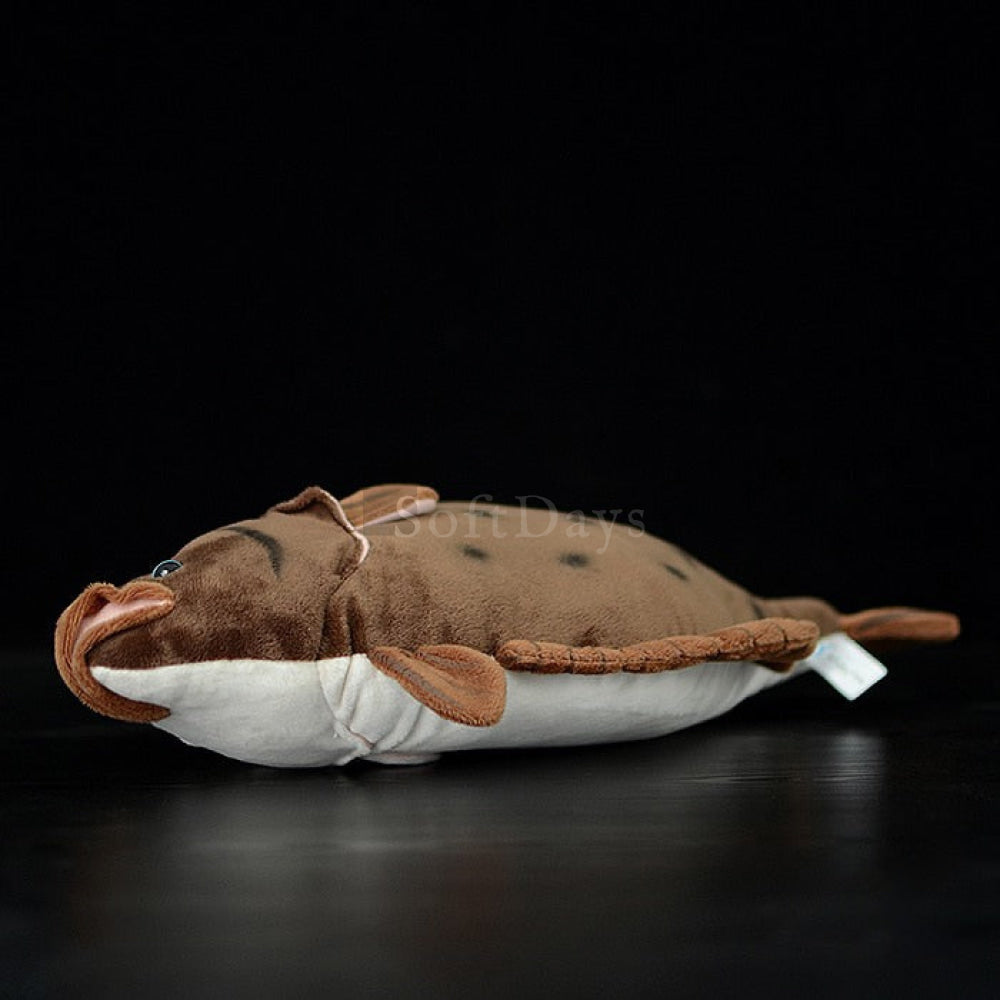 Realistic Flounder Flatfish Plush Toy – Soft and Lifelike
