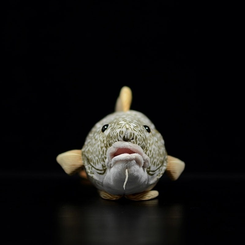 Front view of Atlantic cod plush toy with detailed face and lifelike whisker-like barbel