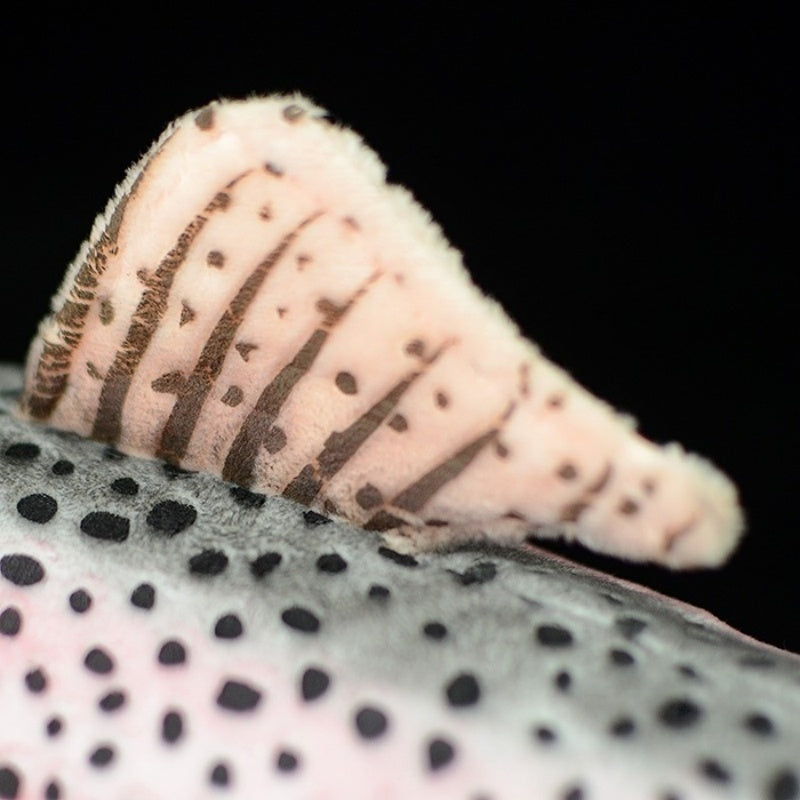 Close-up of dorsal fin detail on rainbow trout plush toy with realistic patterns by SoftDaysLab