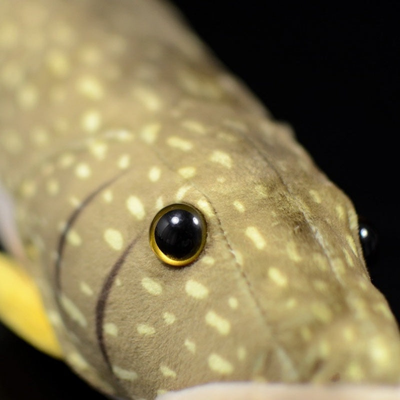 Detailed view of northern pike plush toy’s eye with realistic golden accents
