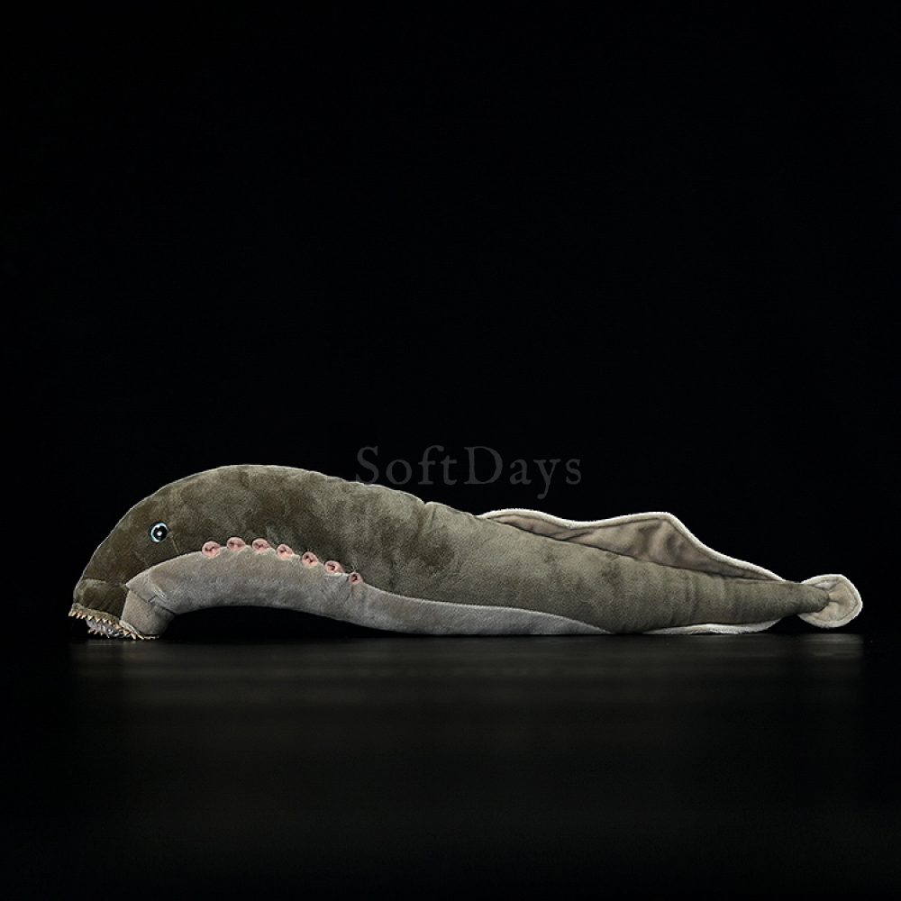 Realistic Sea Lamprey Fish Soft Stuffed Plush Toy – Unique and Perfect for Ocean Lovers