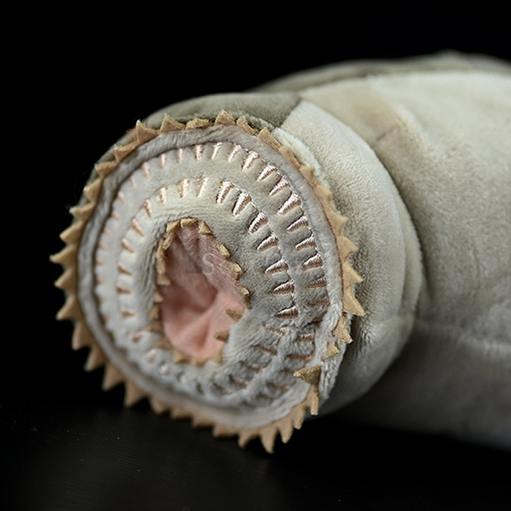 Realistic Sea Lamprey Fish Soft Stuffed Plush Toy – Unique and Perfect for Ocean Lovers