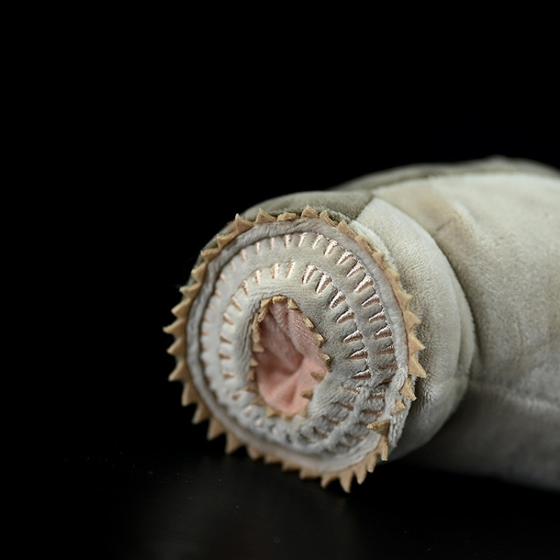 Close-up of sea lamprey plush toy’s mouth showcasing detailed teeth structure by SoftDaysLab