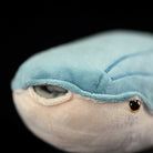 Close-up of Arandaspis plush face showing its eye and realistic mouth for a prehistoric touch by SoftDaysLab