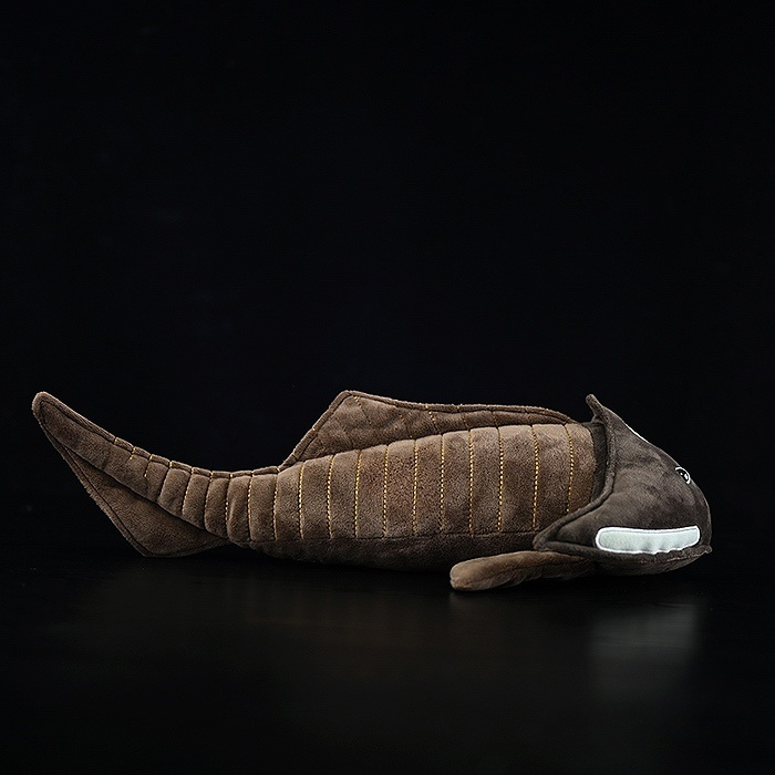 Full side profile of Cephalaspis plush toy, featuring lifelike prehistoric details and soft fabric by SoftDaysLab