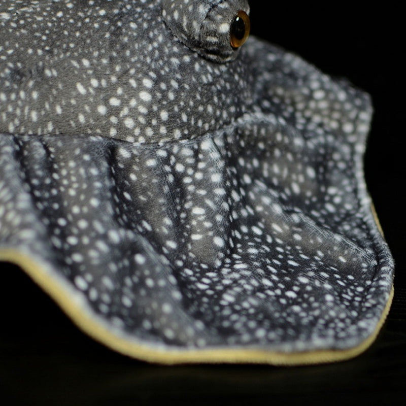 Detailed view of honeycomb stingray plush toy wing featuring soft fabric and honeycomb pattern
