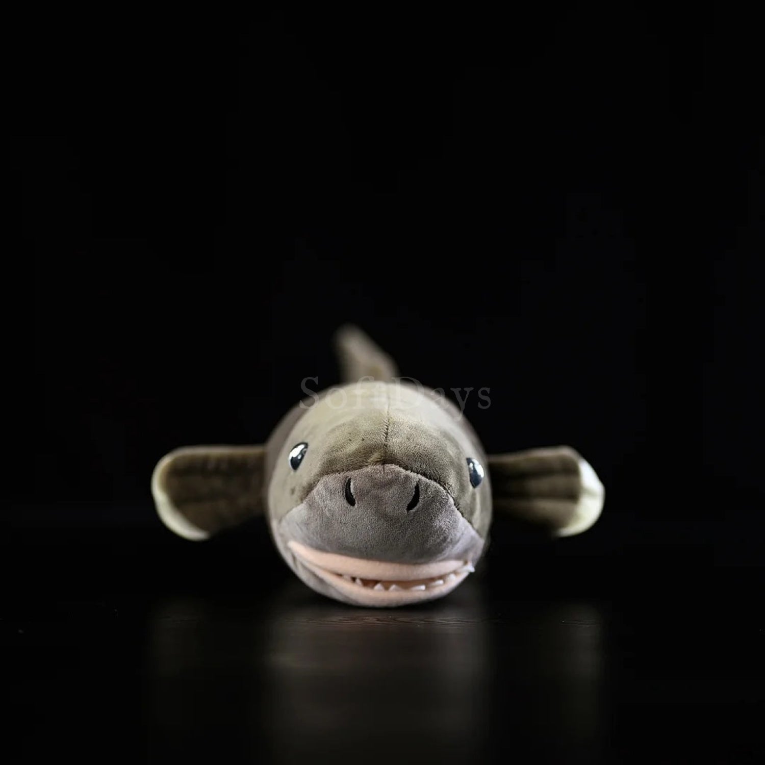 Front view of cookiecutter shark plush toy with a lifelike face and charming smile