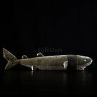 Cookiecutter shark plush toy with realistic design, soft texture, and lifelike shark features