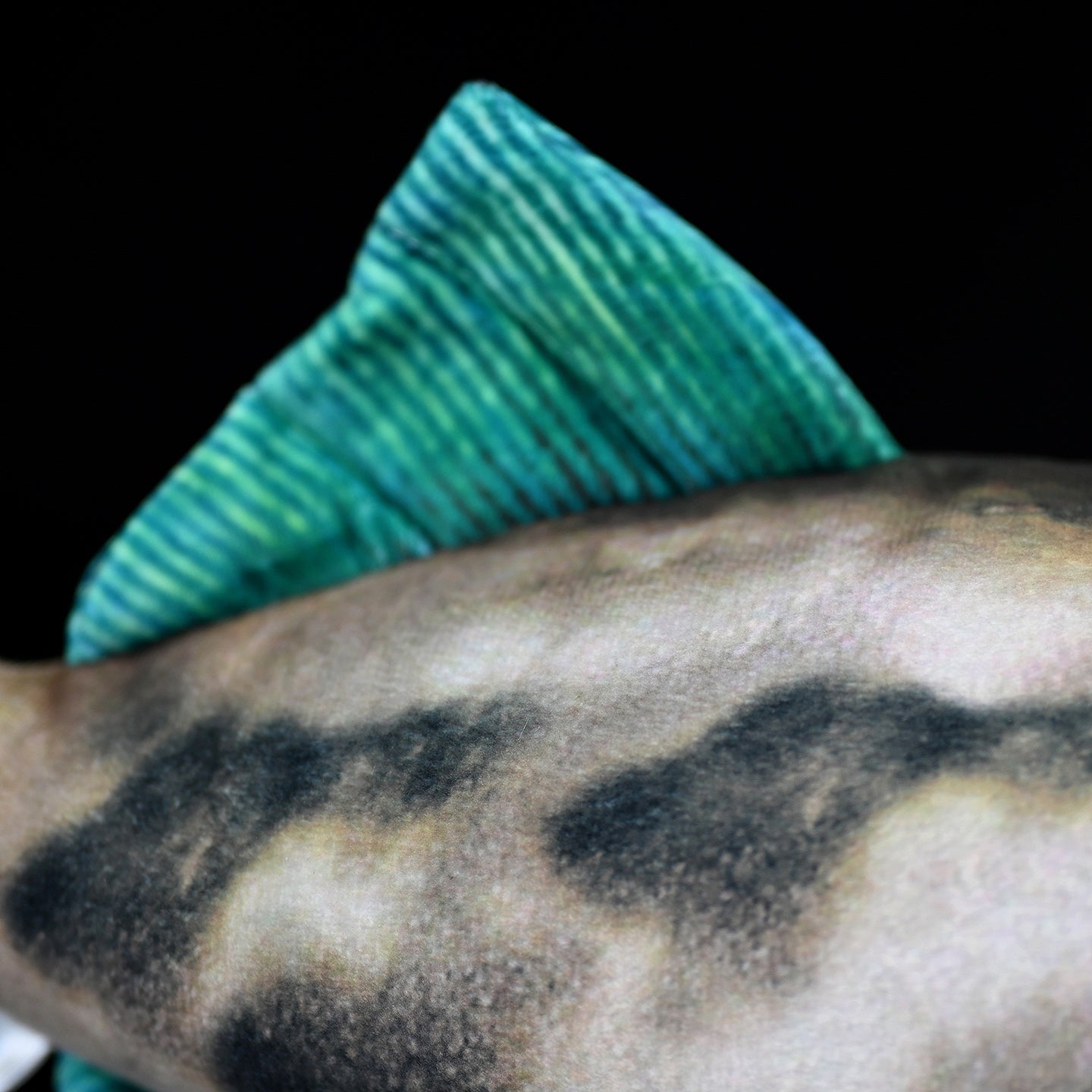 Detailed view of Greenfin Horse-Faced Filefish plush’s body pattern and colorful fins for realistic appeal