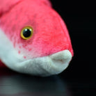 Close-up of the Cuban Spotfin Hogfish plush’s face, showing intricate details and lifelike eyes