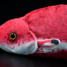 Zoomed-in side view of the Cuban Spotfin Hogfish plush, emphasizing its realistic fin details
