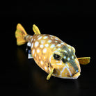 Angled view of Immaculate Boxfish Plush highlighting its vivid yellow and blue lifelike appearance