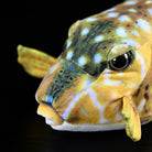 Close-up of Immaculate Boxfish Plush's face, showing detailed spots and realistic features