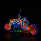 Underside of the Mandarinfish Plush, highlighting its vibrant colors and soft texture