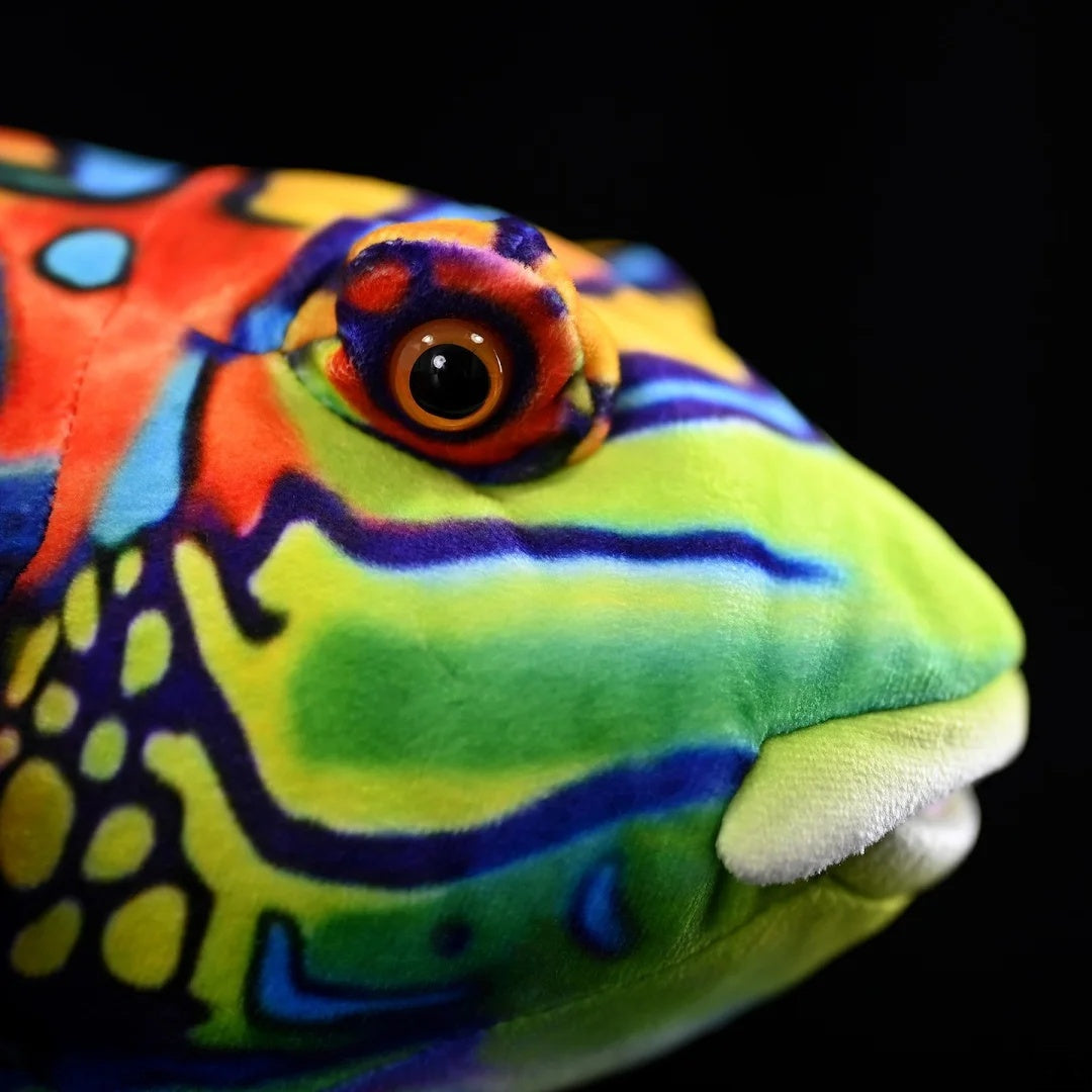 Close-up of the Mandarinfish Plush's face, showing its realistic design and bright colors