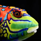 Close-up of the Mandarinfish Plush's face, showing its realistic design and bright colors