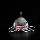 Front view of a realistic Redtail Catfish Plush showcasing its vivid whiskers and detailed design