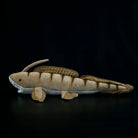 Vista laterale completa del peluche Xenacanthus di SoftDaysLab®, progettato come una replica realistica di uno squalo preistorico.