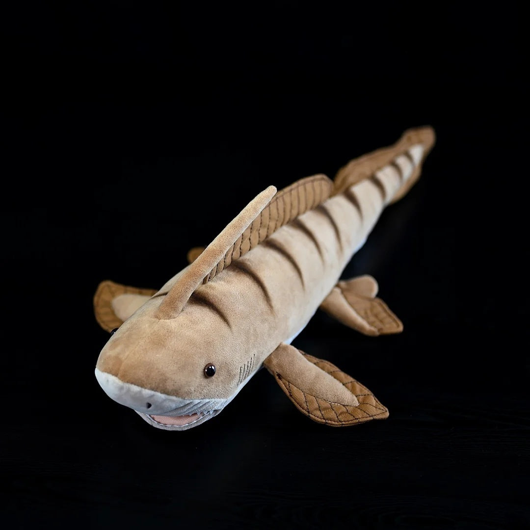 Vista dall'alto del peluche Xenacanthus di SoftDaysLab®, che mostra il suo aspetto dettagliato simile a uno squalo preistorico.