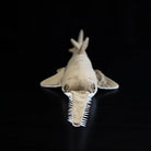Front view of Largetooth Sawfish Plush by SoftDaysLab®, showcasing the detailed saw-like rostrum